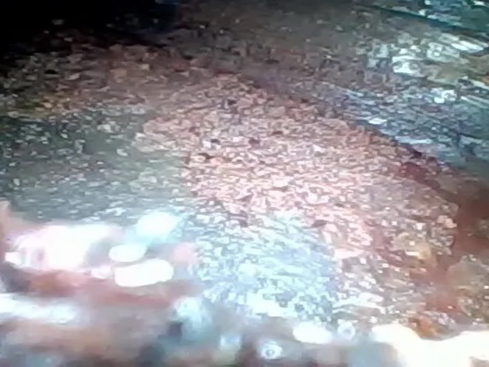 Fibrescope Annulus Testing Services