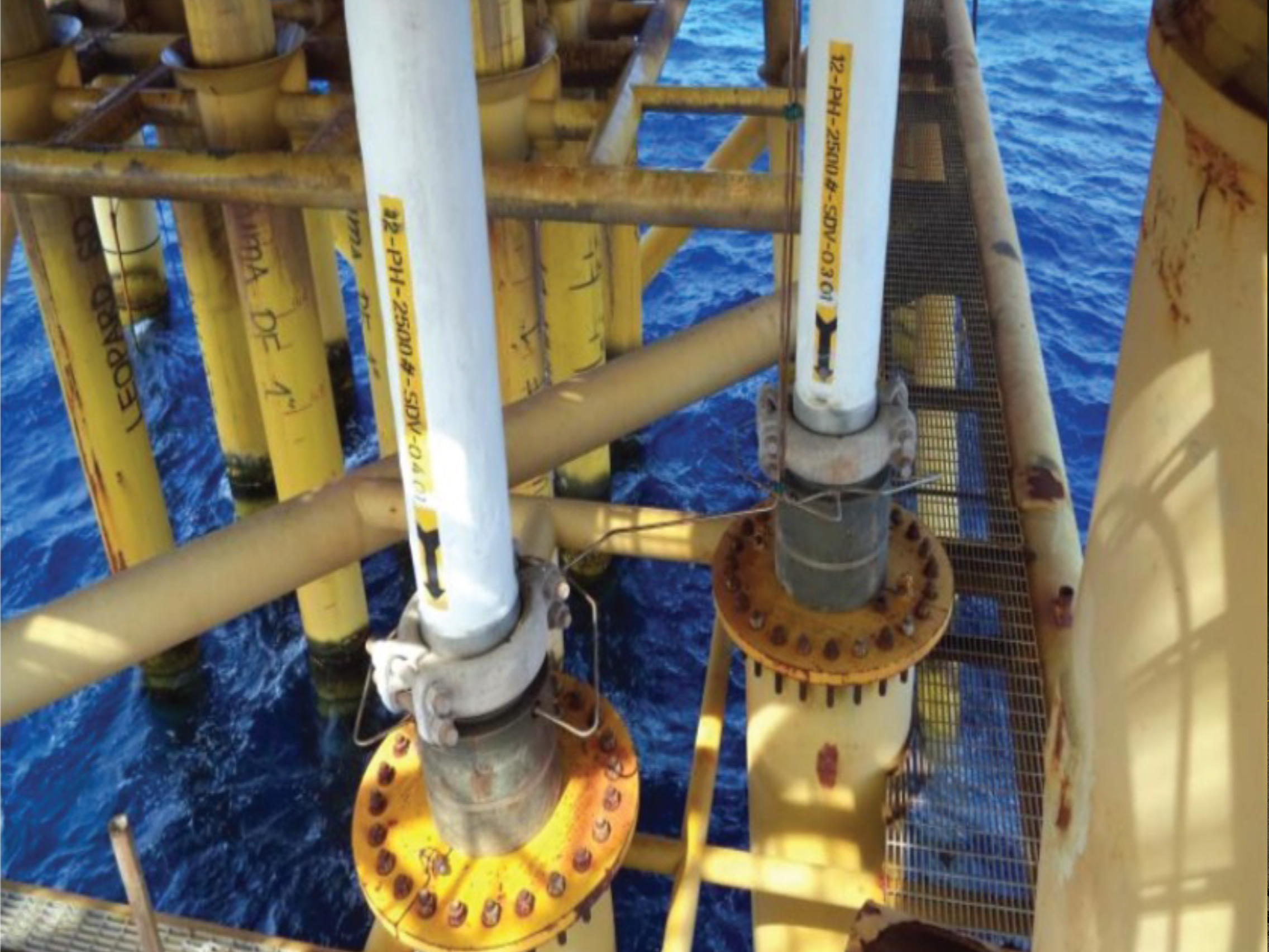 Flexible Riser Pipe Support Services